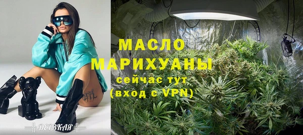 гидра Михайловка