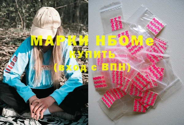 гидра Михайловка