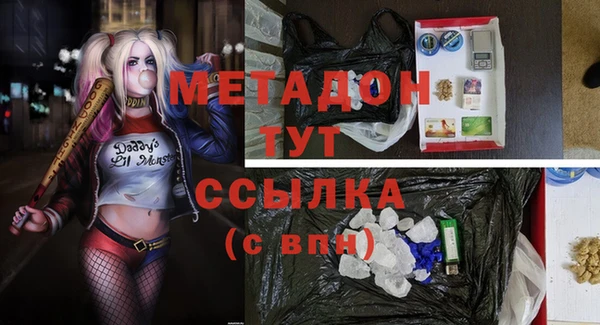 гидра Михайловка