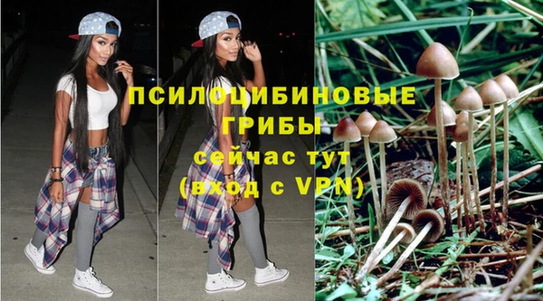 прущая мука Навашино