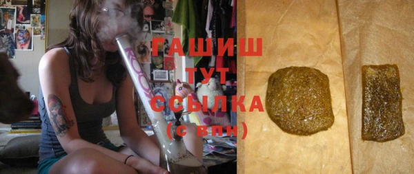 гидра Михайловка