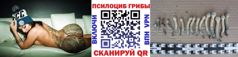 даркнет сайт  Краснокаменск  Псилоцибиновые грибы Cubensis 