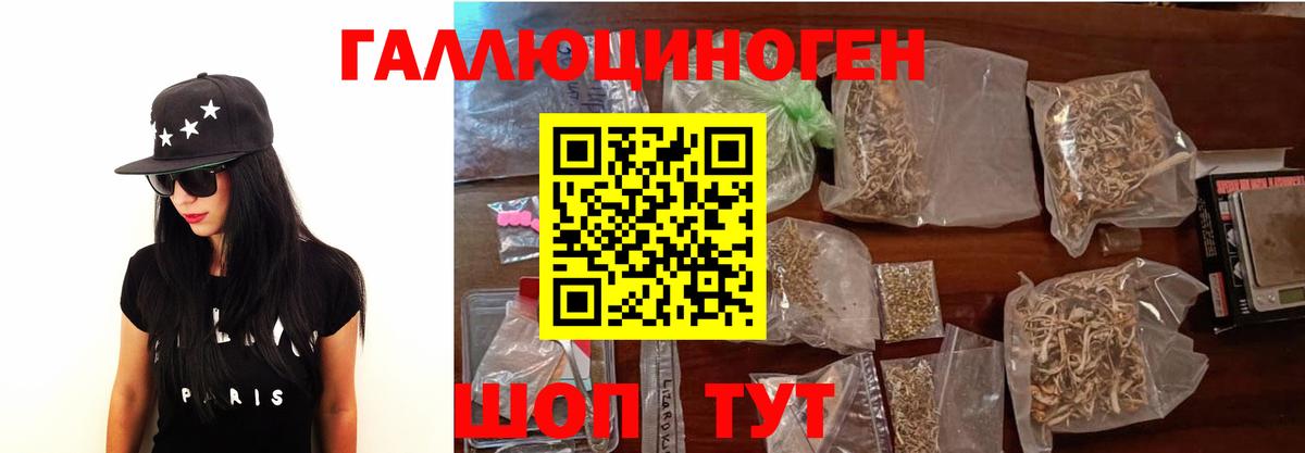 Краснокаменск  Псилоцибиновые грибы прущие грибы  Вход с VPN 